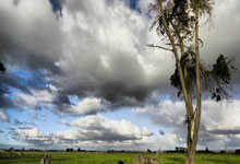 19岁，已亮相三级职业联赛！韦所为加盟青岛海牛，还有个孪生哥哥.