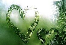 13投27分！热火已经撩上曾凡博！中国第一前锋真有本事…….